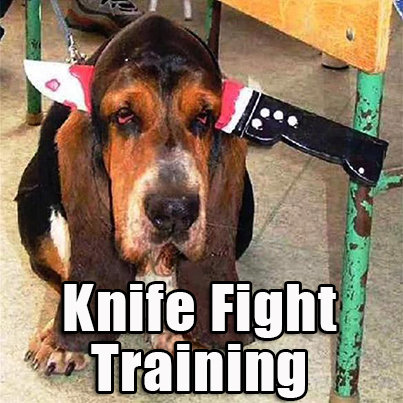 Realistic Knife Defense Training