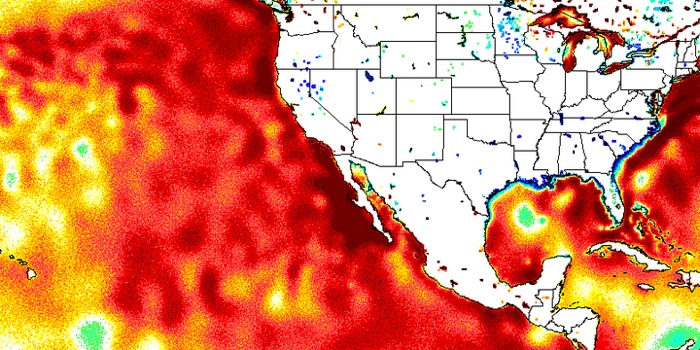 El Nino Disaster Warning