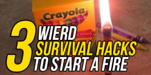 Wilderness Survival Fire Starting Techniques