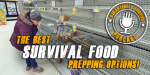 Best Survival Food Prepping Options