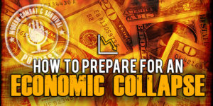 Economic Collapse Survival Plan