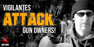 CCW concealed carry vigilante citizens attacking gun owners