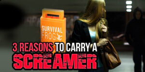 Best Self-Defense Accessories: Screamer Whistle