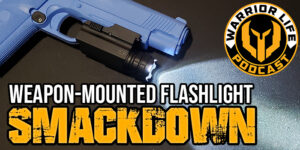 WL 354: Weapon-Mounted Flashlight SMACKDOWN