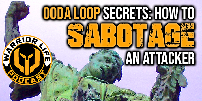WL 364: OODA Loop Secrets (Part 2 Of 2)