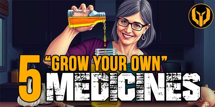 Grow Your Own Herbal Medicine
